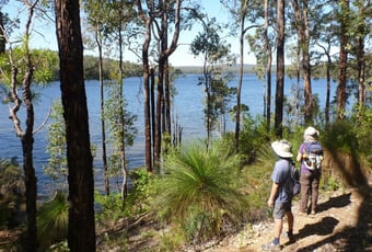 wellington_dam_sertis_2