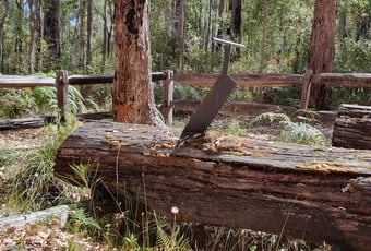 Brockman Sawpit T Johnson