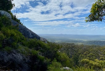 Mt Frankland Summit1_WalpoleNorn NP_MPowell.jpg