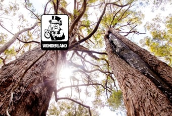 Wonderland_Giants_GalleryHeader_Nic Quinn Ride On