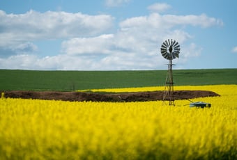 Botanical_Journeys__Toodyay
