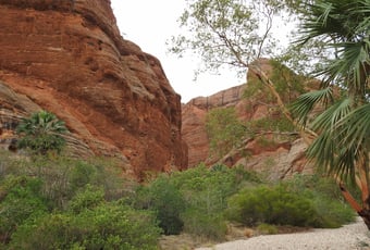 HomesteadValley_PurnululuNP_DBCA_2