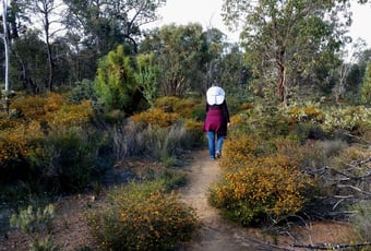 banksia_trail_foxes_lair_0