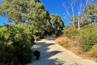 TriggBushlandReserve_FirstHill_KS