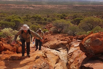 Hero Shot Summit Trail_Tahlia Wood_WEB
