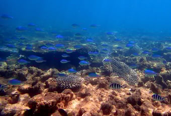 BundegiKayakTrail_ExmouthAdventureCo_1