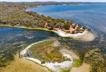 Island_Point_Great_Egret_Trail_Visit_Mandurah
