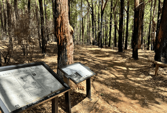 Ken Jones Trail3_Langford Park_Jarrahdale_KStevens.jpg