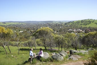 Pelham_Reserve_-_Credit_Tourism_WA