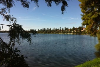 lake_monger_buggybuddies