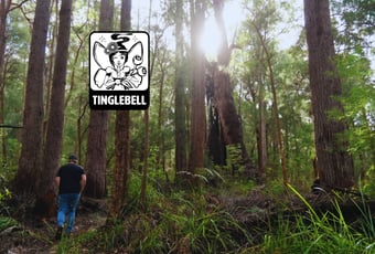 Tinglebell_Giants_GalleryHeader_BAnderson