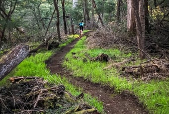 Pirate Trail1_Pemberton MTB Park_Pemberton Cycling Association