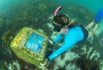 Marmion_Marine_Park_dive_trail_DSC_5401