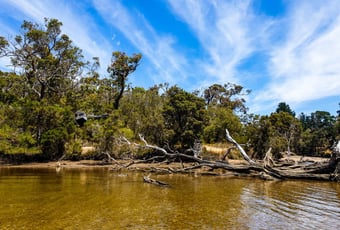 rsz_kalgan_river_paddle_37