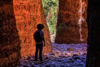 EchidnaCanyon_PurnululuNP_AudreyBourne