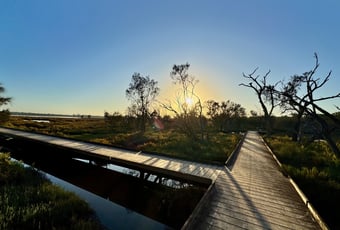 Joseph Dulcie Nannup Trail1_Mandurah_KStevens