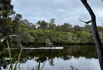 Denmark River_Kayaker_KStevens