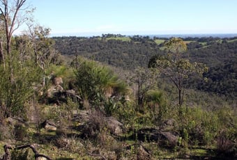 KittysGorge_SerpentineNP_SOJ_1