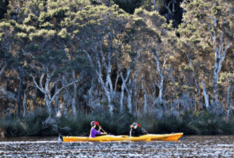 Kapagup Network_Michael Hemmings