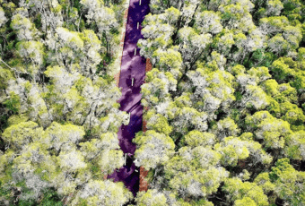 Karak Red Tail Trail1_Collie_Shire Of Collie