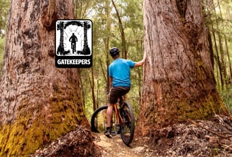 Gatekeepers_Giants_GalleryHeader_Nic Quinn Ride On