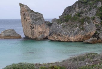 Coastal Survivors Trail Bron Anderson D'Entrecasteaux NP