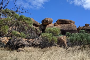 KokerbinCW_KNR_DBCA_2