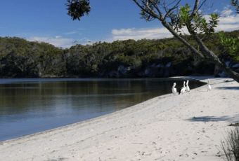 Coalmine_Beach_Kapagup Network_Bron Anderson