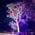 Profile photo for Brady Jordan Skevington
