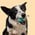 Profile photo for Mickey G.