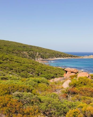 Photo related to: Your Complete Guide to The Cape to Cape Track