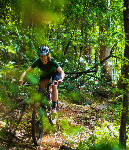 Photo of Pemberton MTB Park trail