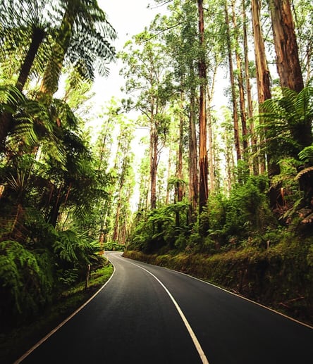 Photo of 2WD trail