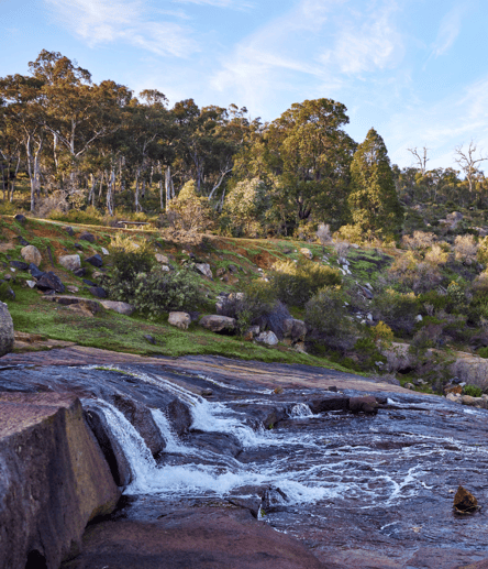 Photo of John Forrest National Park trail