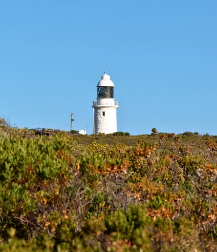 Photo of Cape Naturaliste Walk Trails trail