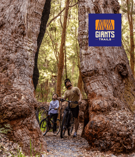 Photo of Giants Trails, Walpole-Nornalup National Park trail