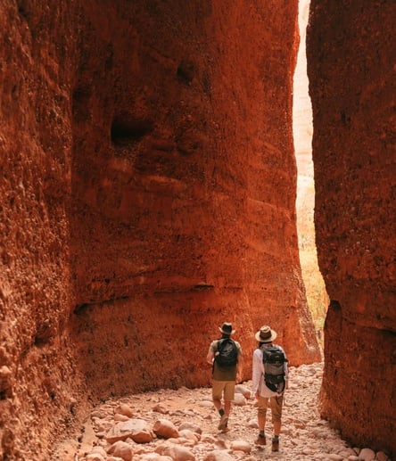 Photo of Purnululu National Park trail
