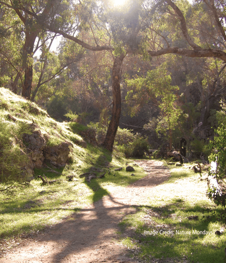 Photo of Yanchep National Park trail