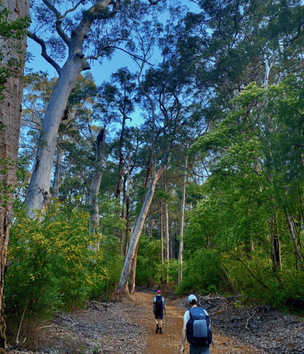 Photo of Hiking Experiences in the South West trail