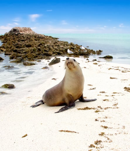 Photo of Houtman Abrolhos Islands National Park trail