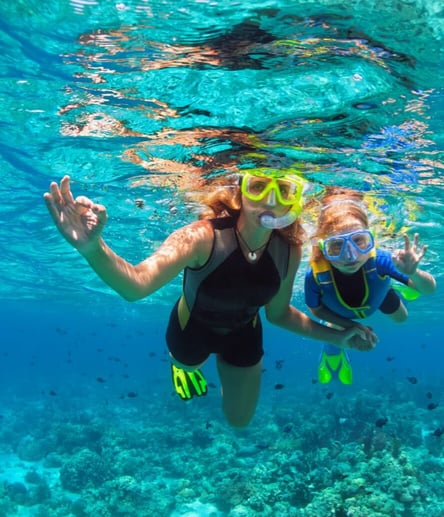 Photo of Snorkel trail