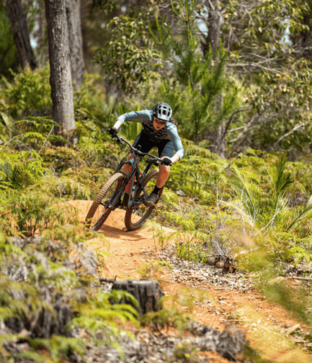 Photo of Murray Valley Trails, Dwellingup trail