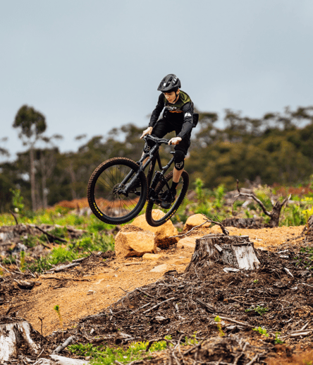 Photo of The Pines Mountain Bike Network trail