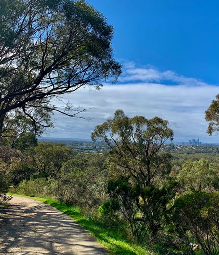 Photo of Whadjuk Trail Network trail