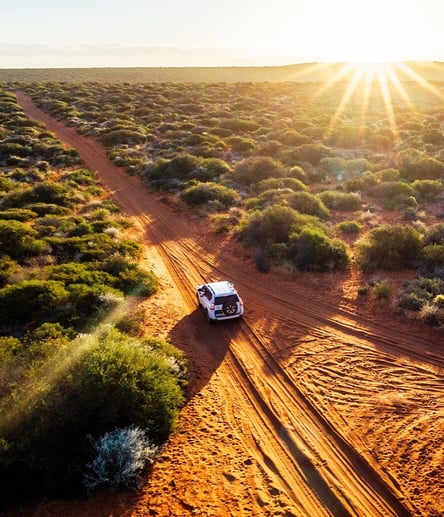 Photo of 4WD trail