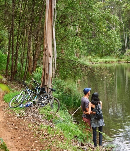 Photo of Creek Trails, Margaret River trail