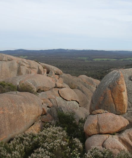 Mt Lindesay Walktrail, Southern Forests, Walpole Wilderness - Trails WA