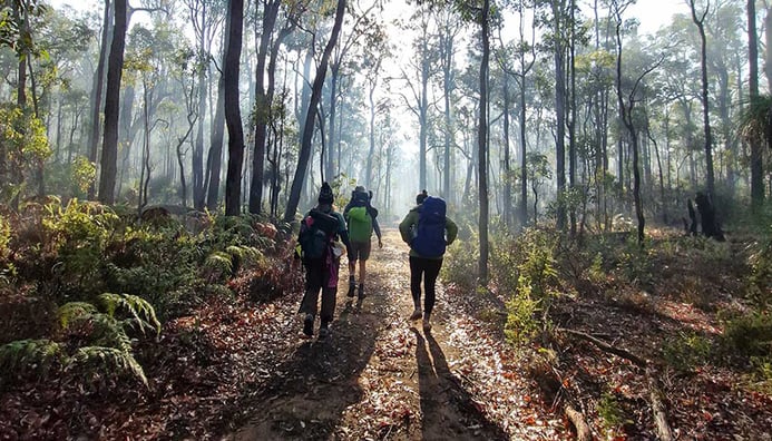 Photo related to: Elevate & Explore | Yarragil to Murray Endurance Hike