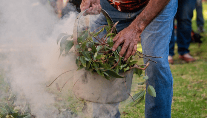 Photo related to: Six Seasons Trail Series: Beelya Cultural Tours