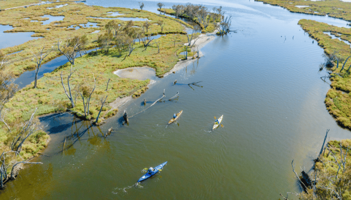 Photo related to: Paddling Paradise: Unveiling Mandurah's New Paddle Trails in the Peel-Harvey Estuary
